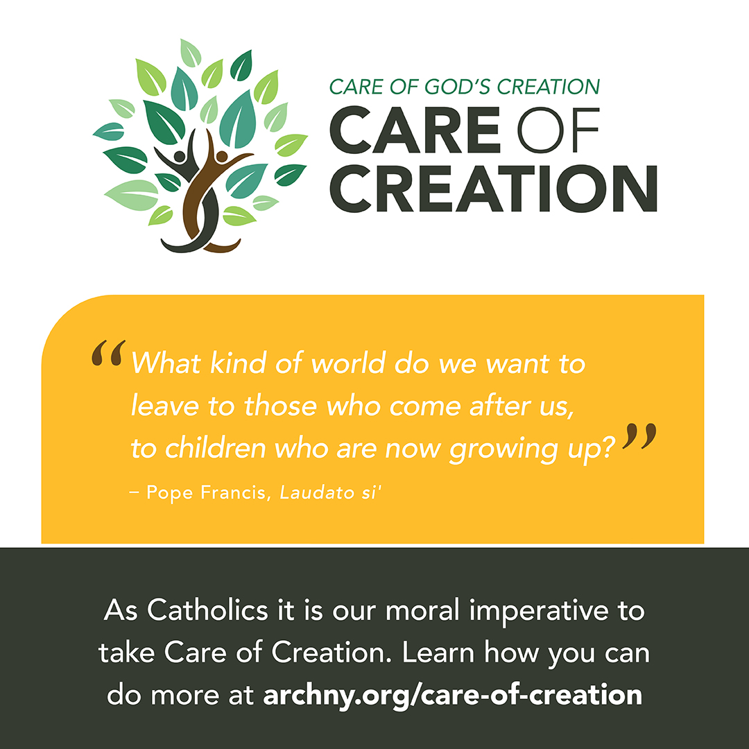 Creativity for Christ's creation: everyone's talents are needed - Laudato  Si' Movement