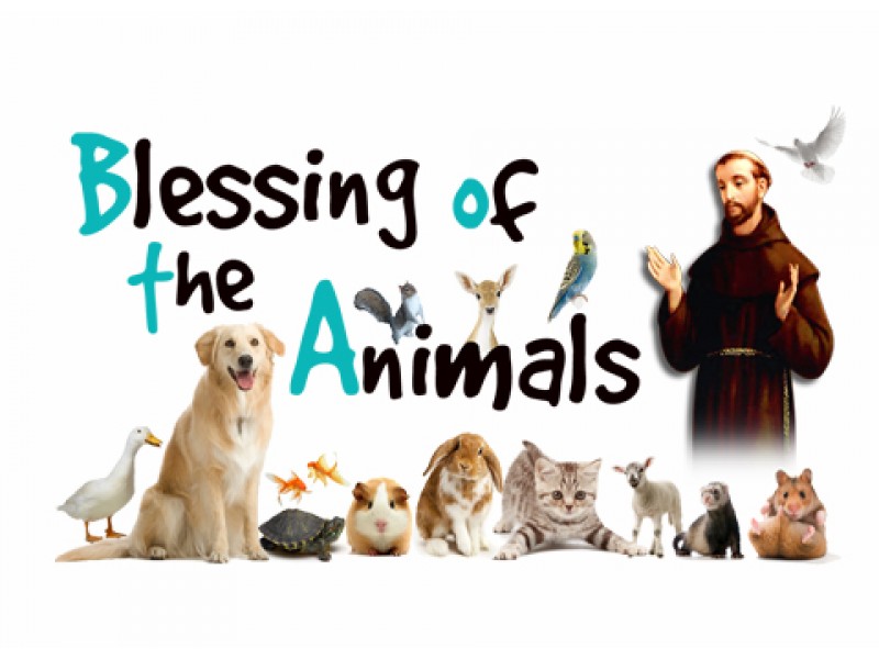 Blessing of the Animals - Archdiocese of New York