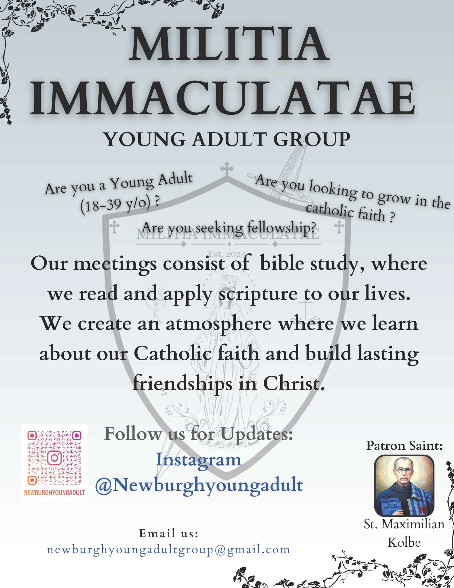 Militia Immaculatae Young Adult Group Meeting